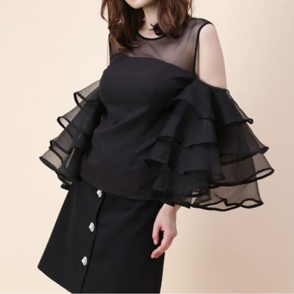 Pretty Little Thing Black Sheer Organza Ruffle Sleeve Top - Picture 1 of 8